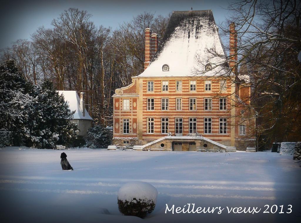 Chateau De Beneauville Panzió Petiville  Kültér fotó